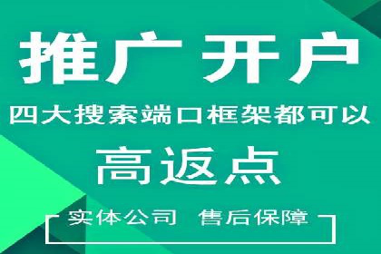 顶级SEM服务公司案例解析